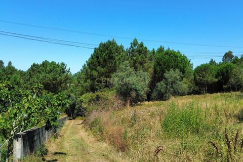 Helårsgrund i Pombal, Leiria, Pombal - € 24.000 | Ref: C0381-00616 - foto 5