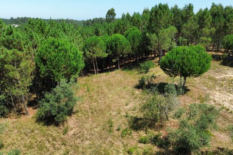 Helårsgrund i Pombal, Leiria, Pombal - € 24.000 | Ref: C0381-00616 - foto 6