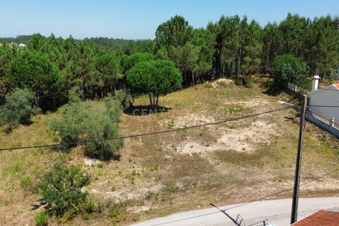 Helårsgrund i Pombal, Leiria, Pombal - € 24.000 | Ref: C0381-00616 - foto 8