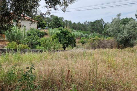 Helårsgrund i Pombal, Leiria, Pombal - € 24.000 | Ref: C0381-00616 - foto 11