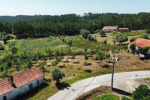 Helårsgrund i Pombal, Leiria, Pombal - € 24.000 | Ref: C0381-00616 - foto 12