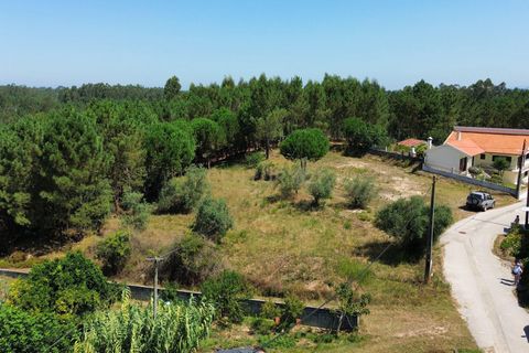Helårsgrund i Pombal, Leiria, Pombal - € 24.000 | Ref: C0381-00616 - foto 15