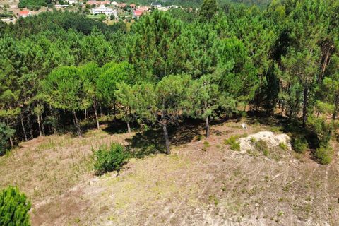 Helårsgrund i Pombal, Leiria, Pombal - € 24.000 | Ref: C0381-00616 - foto 16