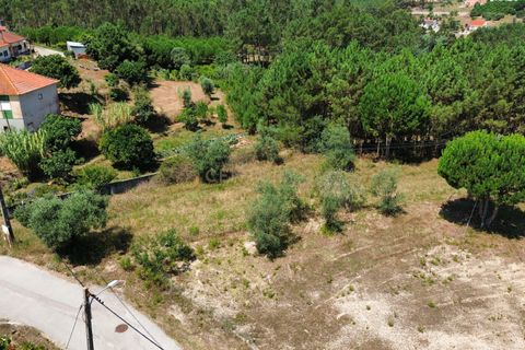 Helårsgrund i Pombal, Leiria, Pombal - € 24.000 | Ref: C0381-00616 - foto 17