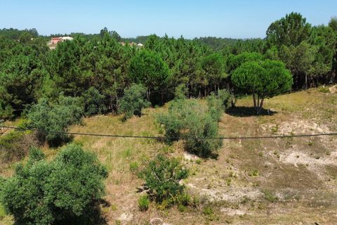 Helårsgrund i Pombal, Leiria, Pombal - € 24.000 | Ref: C0381-00616 - foto 18