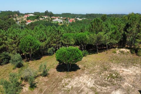 Helårsgrund i Pombal, Leiria, Pombal - € 24.000 | Ref: C0381-00616 - foto 19