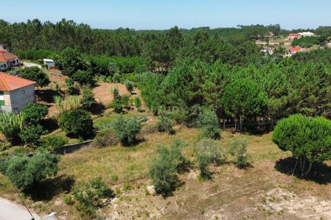 Helårsgrund i Pombal, Leiria, Pombal - € 24.000 | Ref: C0381-00616 - foto 20