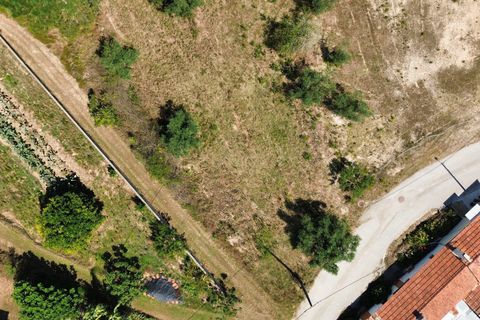 Helårsgrund i Pombal, Leiria, Pombal - € 24.000 | Ref: C0381-00616 - foto 21