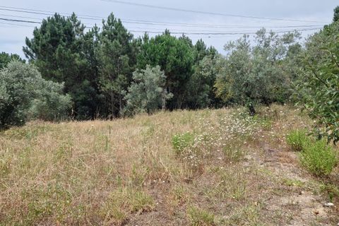 Helårsgrund i Pombal, Leiria, Pombal - € 24.000 | Ref: C0381-00616 - foto 22