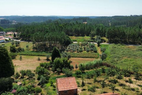 Helårsgrund i Pombal, Leiria, Pombal - € 24.000 | Ref: C0381-00616 - foto 23