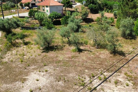 Helårsgrund i Pombal, Leiria, Pombal - € 24.000 | Ref: C0381-00616 - foto 26