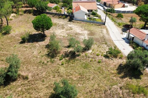 Helårsgrund i Pombal, Leiria, Pombal - € 24.000 | Ref: C0381-00616 - foto 28