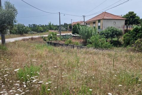 Helårsgrund i Pombal, Leiria, Pombal - € 24.000 | Ref: C0381-00616 - foto 29