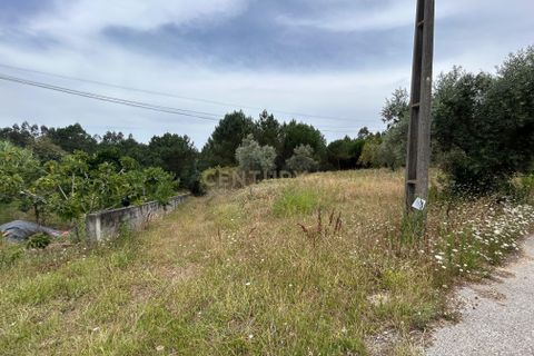 Helårsgrund i Pombal, Leiria, Pombal - € 24.000 | Ref: C0381-00616 - foto 30