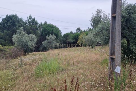 Helårsgrund i Pombal, Leiria, Pombal - € 24.000 | Ref: C0381-00616 - foto 31