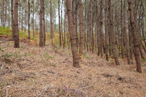 Helårsgrund i Pombal, Leiria, Pombal - € 24.000 | Ref: C0381-00616 - foto 35