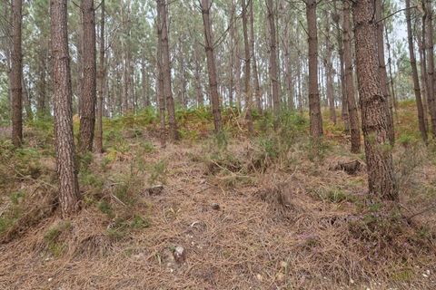 Helårsgrund i Pombal, Leiria, Pombal - € 24.000 | Ref: C0381-00616 - foto 37