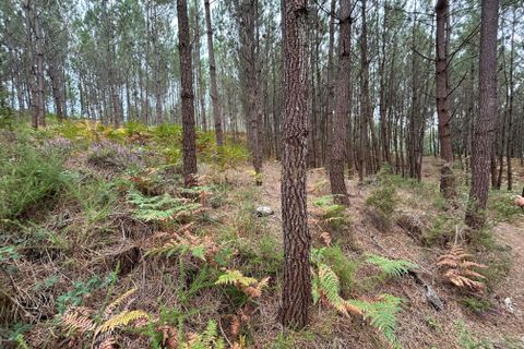 Helårsgrund i Pombal, Leiria, Pombal - € 24.000 | Ref: C0381-00616 - foto 44