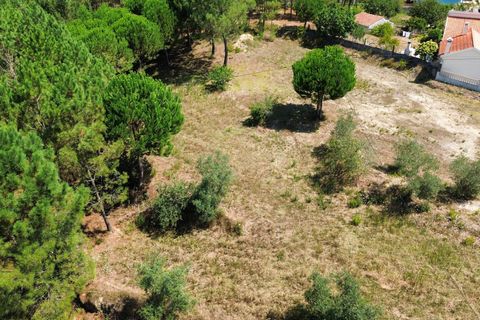 Helårsgrund i Pombal, Leiria, Pombal - € 24.000 | Ref: C0381-00616 - foto 46