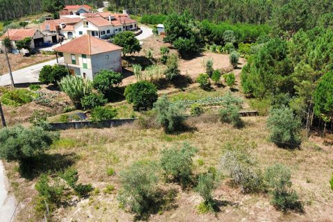 Helårsgrund i Pombal, Leiria, Pombal - € 24.000 | Ref: C0381-00616 - foto 47