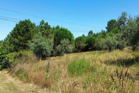 Helårsgrund i Pombal, Leiria, Pombal - € 24.000 | Ref: C0381-00616 - foto 48