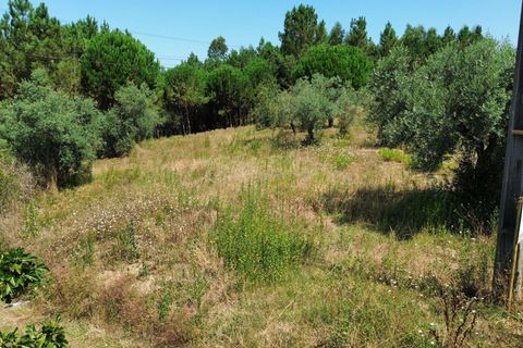 Helårsgrund i Pombal, Leiria, Pombal - € 24.000 | Ref: C0381-00616 - foto 50