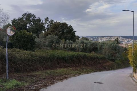 Helårsgrund i Pombal, Leiria, Pombal - € 125.000 | Ref: C0381-00672 - foto 4