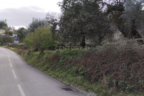Helårsgrund i Pombal, Leiria, Pombal - € 125.000 | Ref: C0381-00672 - foto 6