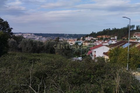 Helårsgrund i Pombal, Leiria, Pombal - € 125.000 | Ref: C0381-00672 - foto 8