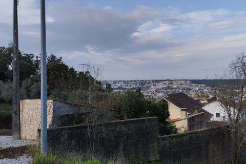 Helårsgrund i Pombal, Leiria, Pombal - € 125.000 | Ref: C0381-00672 - foto 9
