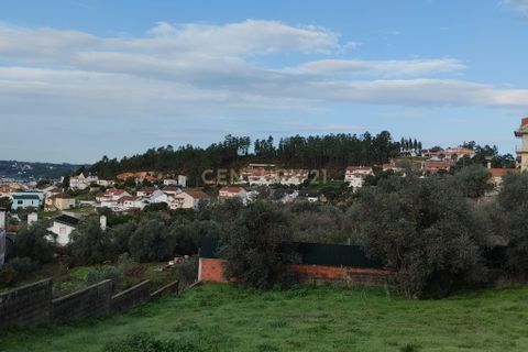 Helårsgrund i Pombal, Leiria, Pombal - € 125.000 | Ref: C0381-00672 - foto 11