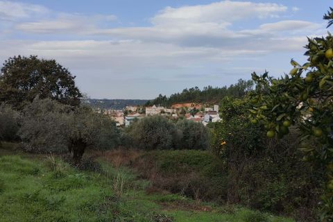 Helårsgrund i Pombal, Leiria, Pombal - € 125.000 | Ref: C0381-00672 - foto 12