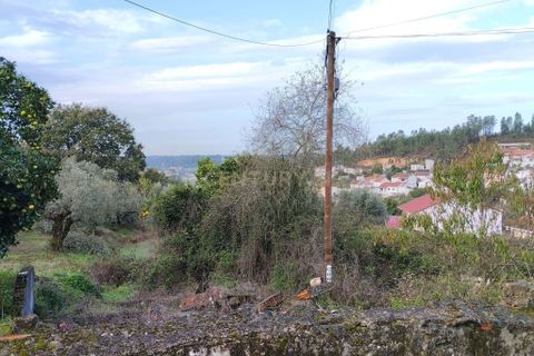 Helårsgrund i Pombal, Leiria, Pombal - € 125.000 | Ref: C0381-00672 - foto 14