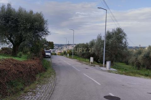 Helårsgrund i Pombal, Leiria, Pombal - € 125.000 | Ref: C0381-00672 - foto 16