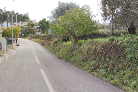 Helårsgrund i Pombal, Leiria, Pombal - € 125.000 | Ref: C0381-00672 - foto 17