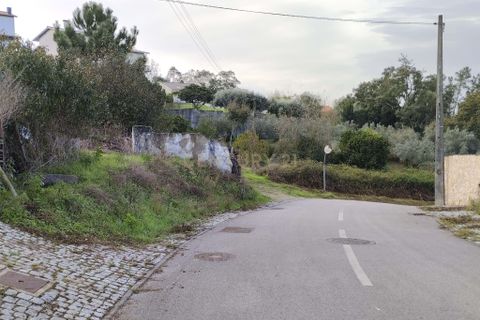 Helårsgrund i Pombal, Leiria, Pombal - € 125.000 | Ref: C0381-00672 - foto 18