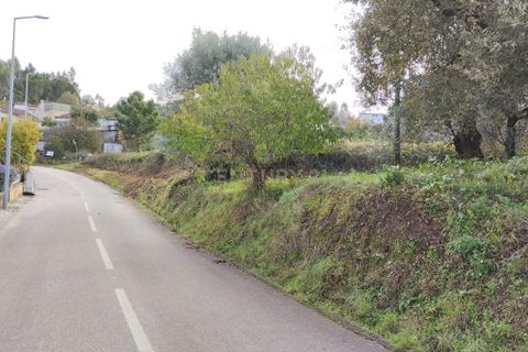 Helårsgrund i Pombal, Leiria, Pombal - € 125.000 | Ref: C0381-00672 - foto 19