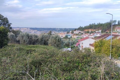 Helårsgrund i Pombal, Leiria, Pombal - € 125.000 | Ref: C0381-00672 - foto 21