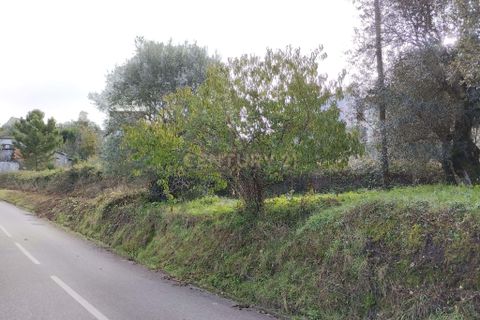 Helårsgrund i Pombal, Leiria, Pombal - € 125.000 | Ref: C0381-00672 - foto 22