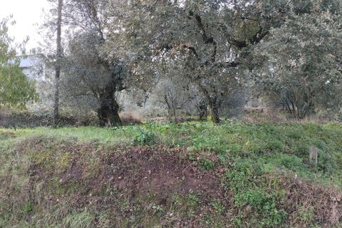 Helårsgrund i Pombal, Leiria, Pombal - € 125.000 | Ref: C0381-00672 - foto 23