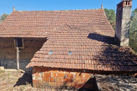 Villa i Pombal, Leiria, Pombal - € 50.000 | Ref: C0381-00679 - foto 17