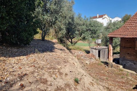 Villa i Pombal, Leiria, Pombal - € 50.000 | Ref: C0381-00679 - foto 21