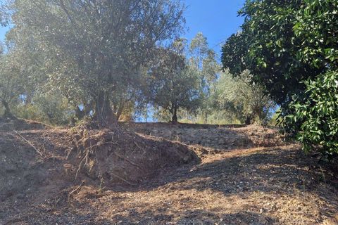 Villa i Pombal, Leiria, Pombal - € 50.000 | Ref: C0381-00679 - foto 22
