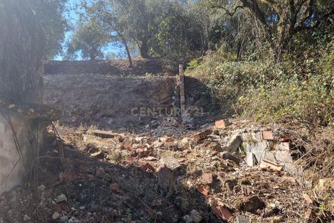 Villa i Pombal, Leiria, Pombal - € 50.000 | Ref: C0381-00679 - foto 23