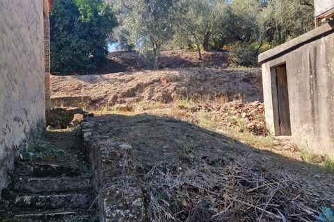 Villa i Pombal, Leiria, Pombal - € 50.000 | Ref: C0381-00679 - foto 24