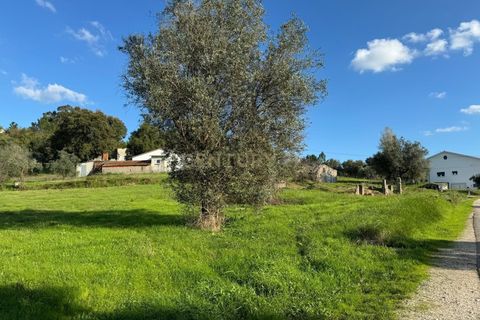 Villa i Pombal, Leiria, Pombal - € 32.000 | Ref: C0381-00688 - foto 3