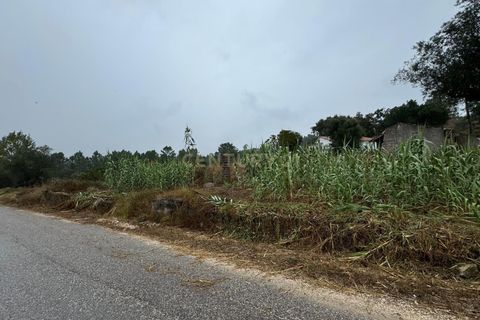 Villa i Pombal, Leiria, Pombal - € 32.000 | Ref: C0381-00688 - foto 4