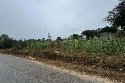 Villa i Pombal, Leiria, Pombal - € 32.000 | Ref: C0381-00688 - foto 7