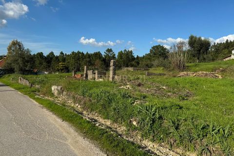 Villa i Pombal, Leiria, Pombal - € 32.000 | Ref: C0381-00688 - foto 9