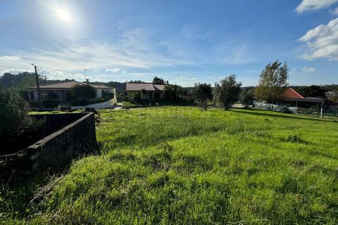 Villa i Pombal, Leiria, Pombal - € 32.000 | Ref: C0381-00688 - foto 11